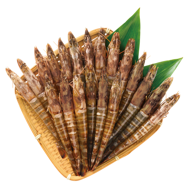 Y uɁvYⓀԊCV (-10)